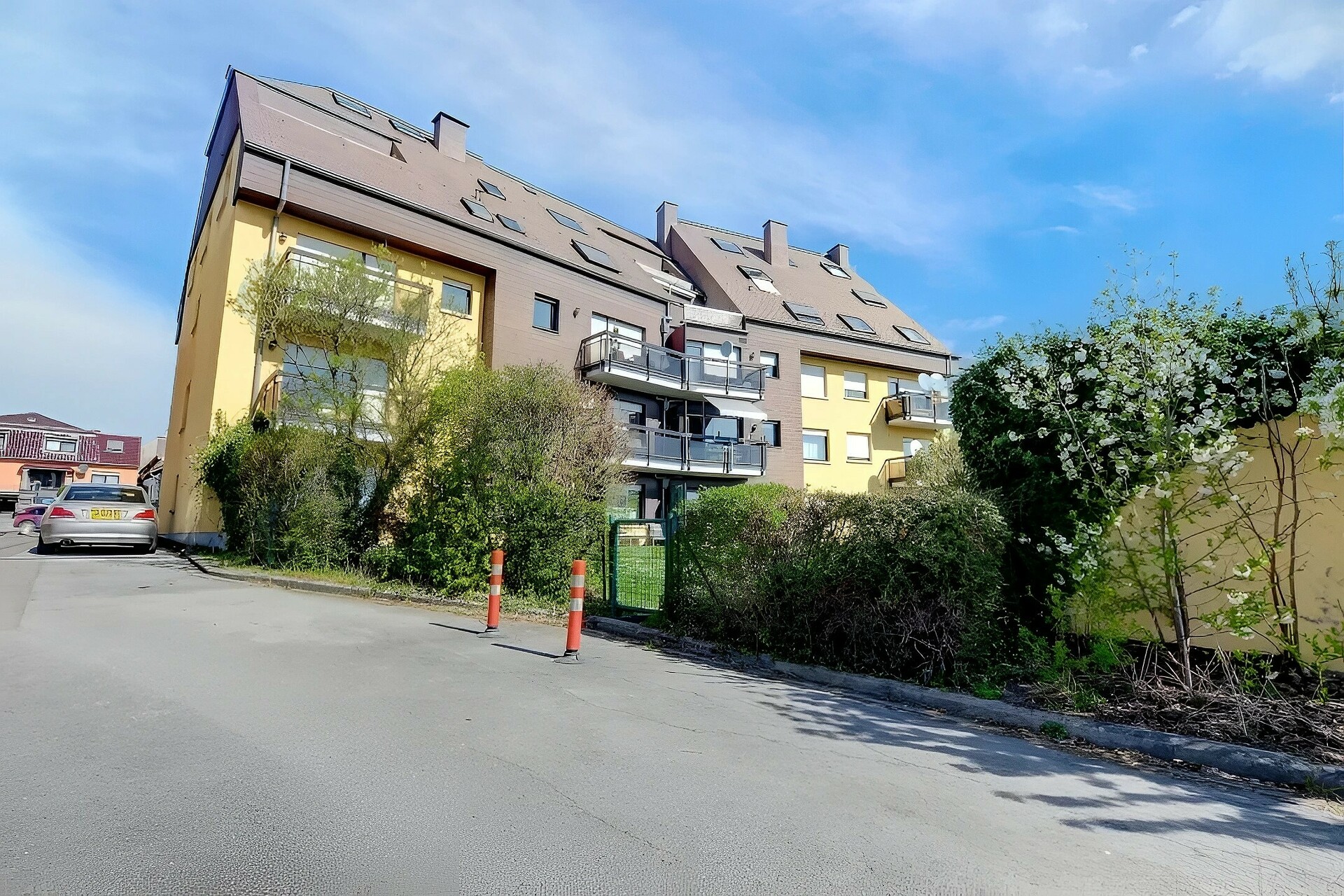 Image 10