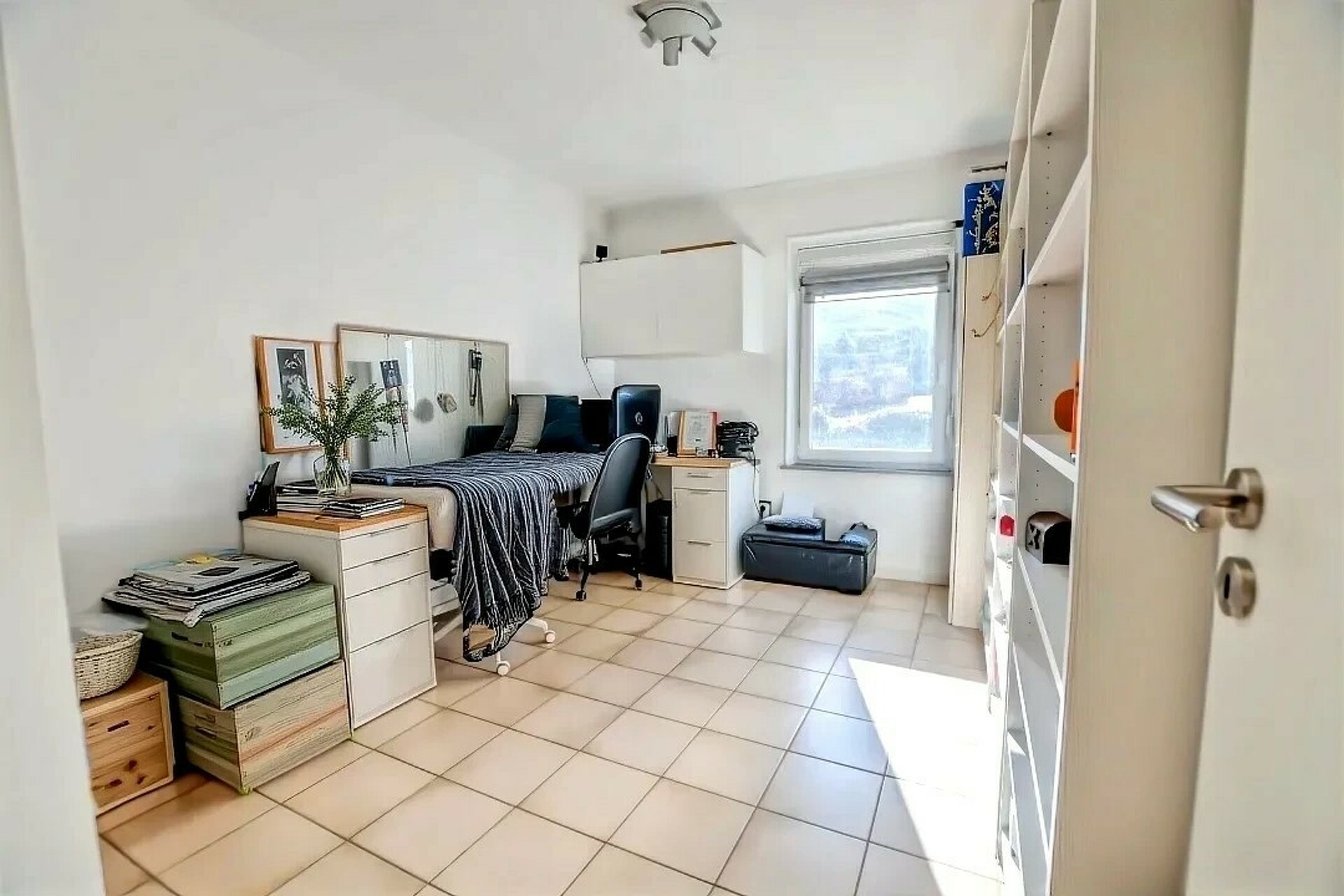 Image 7